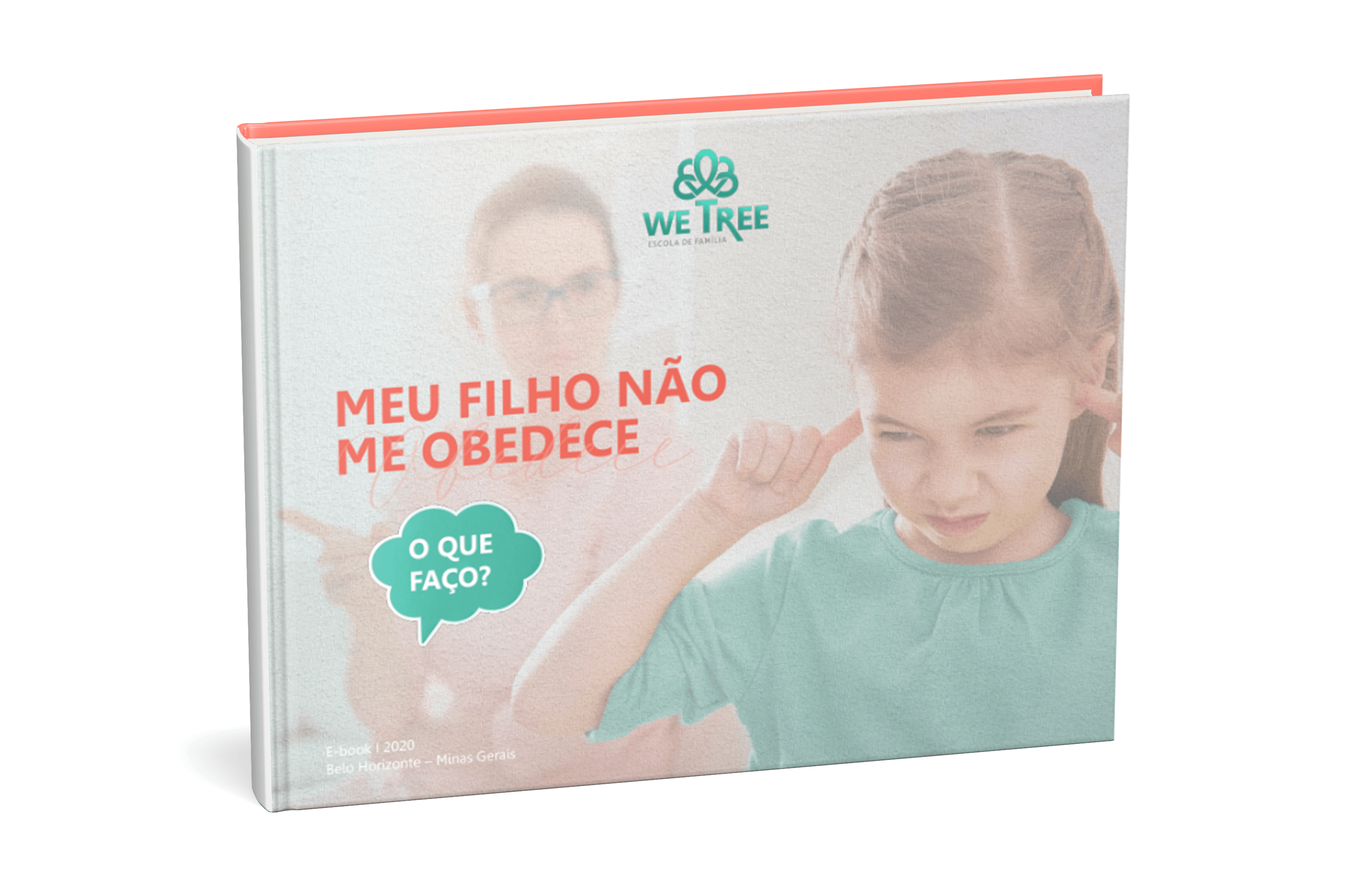 Meu filho não obedece. O que eu faço?